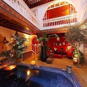 Riad La Terrasse Des Oliviers